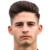 奥地利卢斯特瑙